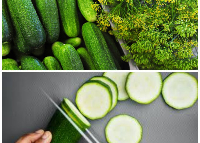 Rahasia Timun untuk Tekanan Darah Stabil: Manfaat dan Cara Konsumsi yang Tepat