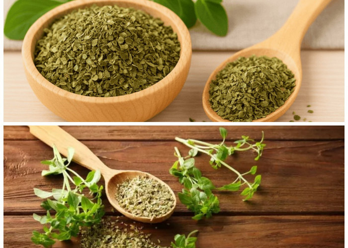 Kenali Khasiat Teh Oregano yang Menakjubkan untuk Kesehatan Tubuh