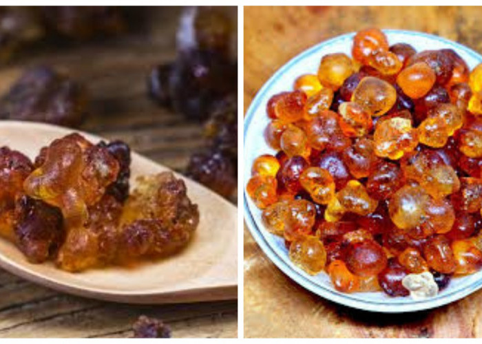 Getah Persik, Berikut Berbagai Manfaatnya bagi Kesehatan Tubuh