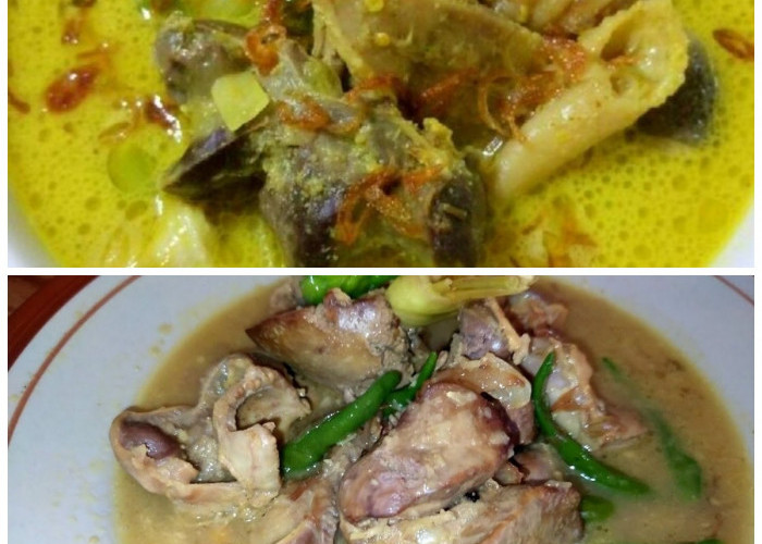 Sajian Rumahan Favorit, Resep Opor Sayur Ati Ampela Lezat untuk Menu Keluarga!