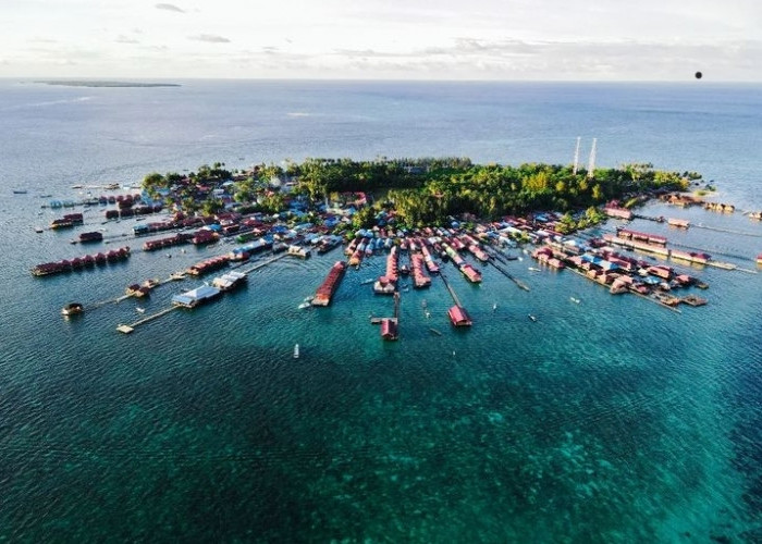 Keajaiban Bawah Laut Pulau Derawan, Surga Tersembunyi di Kalimantan