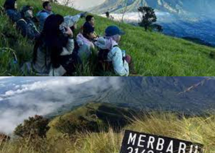 Rugi Banget Kalo Kamu Gak Dateng ke Gunung Merbabu yang Tawarkan Keindaha Alam Menakjubkan 