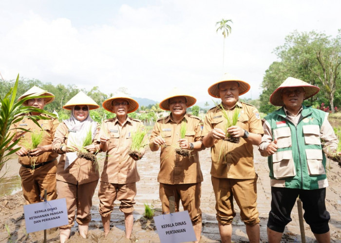 Hadapi El Nino, Pemkot Pagar Alam Dukung Swasembada Pangan Nasional