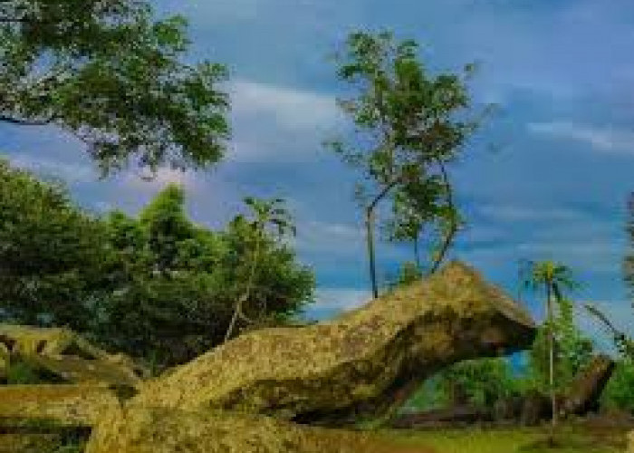 Gunung Padang, Menelusuri Akar Peradaban Lewat Koin dan Artefak Kuno
