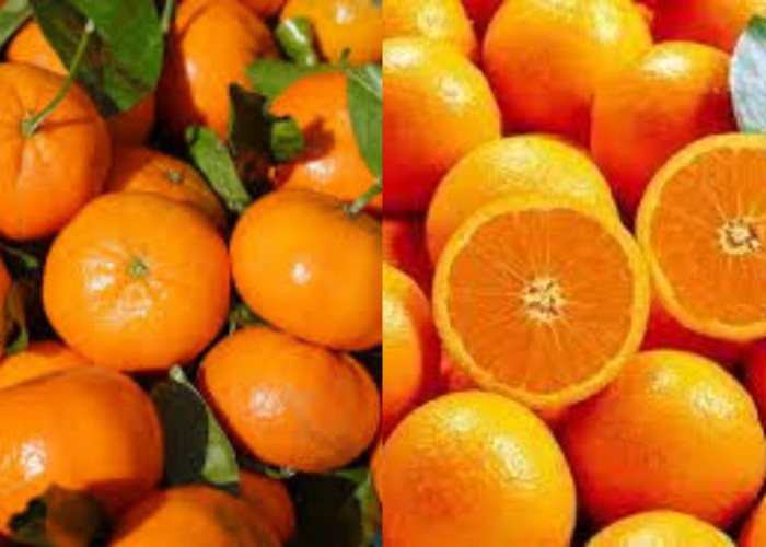 Kandungan Gizi Dan Manfaat Jeruk Baby Untuk Kesehatan Yang Harus Kalian Ketahui!