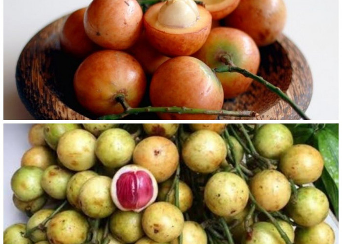 Tak Banyak yang Tahu, Ini Deretan Manfaat Buah Menteng bagi Kesehatan!