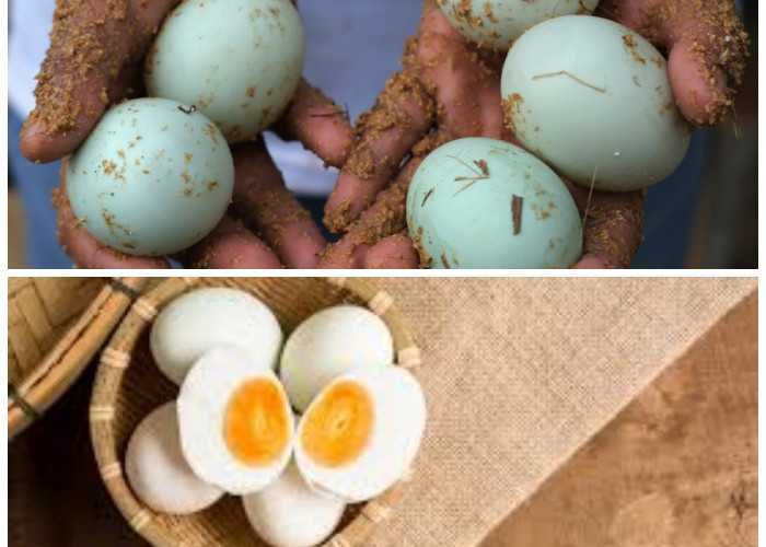 Khasiat Telur Bebek untuk Kesehatan: Nutrisi Lengkap Penunjang Energi dan Daya Tahan Tubuh