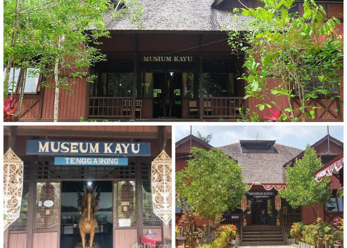 Sejarah Museum Kayu Tuah Himba: Warisan Hutan dan Budaya Kalimantan Timur!