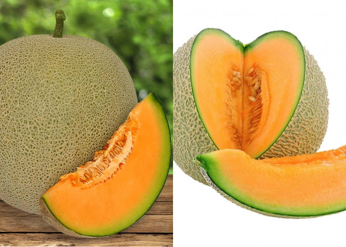 Kaya Akan Nutrisi, Inilah Manfaat Buah Melon Jika Rutin Kalian Konsumsi!