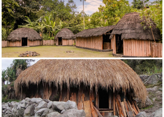 Rumah Honai: Warisan Budaya Papua yang Sarat Makna dan Kehangatan