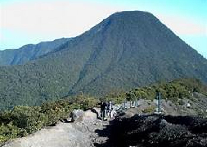 Bikin Ngeri Para Pendaki! Inilah Mistis di Gunung Pangrango Paling Terkenal! Berikut MIstisnya