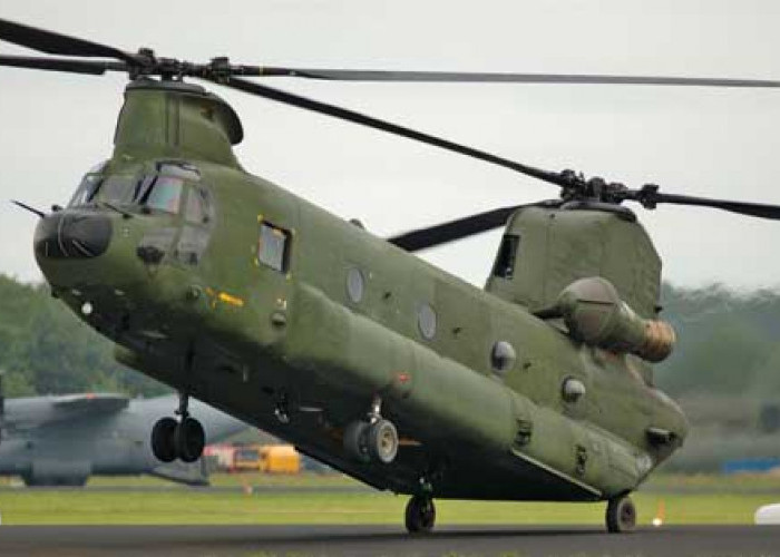 GIla gilaan, Jerman Borong 60 Unit CH-47 Chinook Senilai 8 Miliar Euro