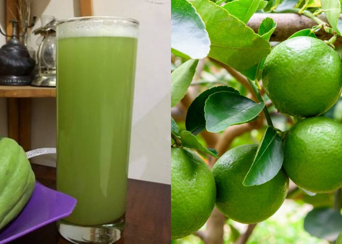 Manfaat Jus Labu Siam dan Jeruk Nipis, Minuman Segar yang Penuh Khasiat