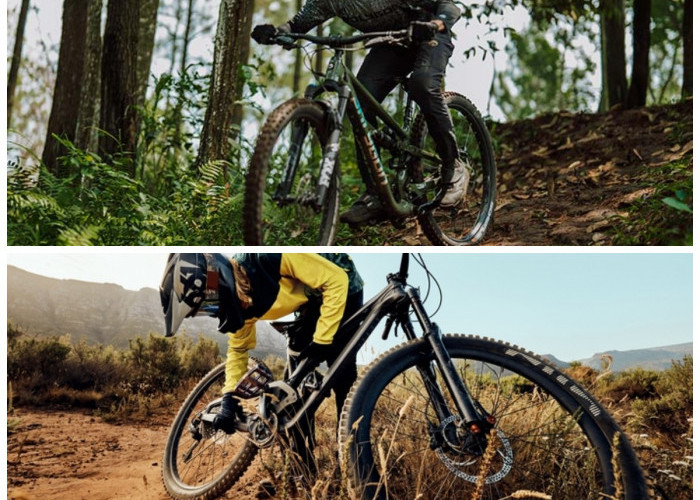 Harga Bersahabat, Performa Gahar! 5 Sepeda Gunung Rp700 Ribuan untuk Jalan Ekstrem