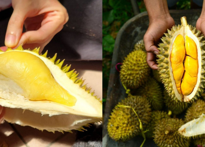 Jangan Terkecoh! Makanan-Makanan yang Harus Dihindari Saat Menyantap Durian