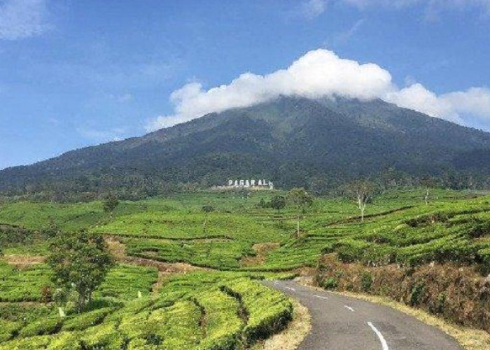Jalur Pendakian Gunung Dempo Dibuka, Brigade Register 500 Pendaki