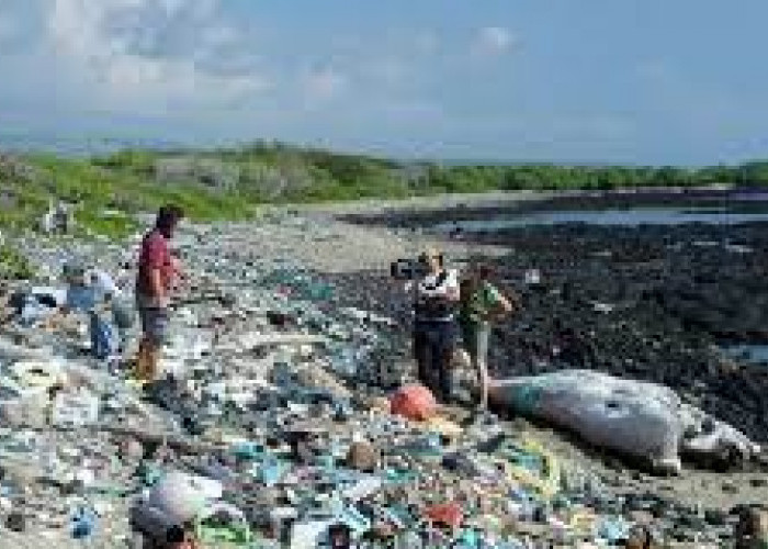 Bikin Miris, Inilah 3 Pantai Terkotor yang Ada di Indonesia