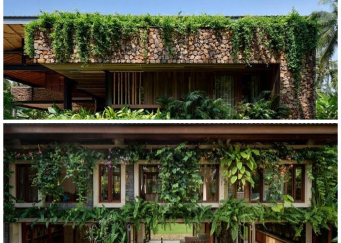 11 Ide Dekorasi Pot Tanaman Rambat untuk Mempercantik Rumah agar Terasa Lebih Hijau dan Menenangkan