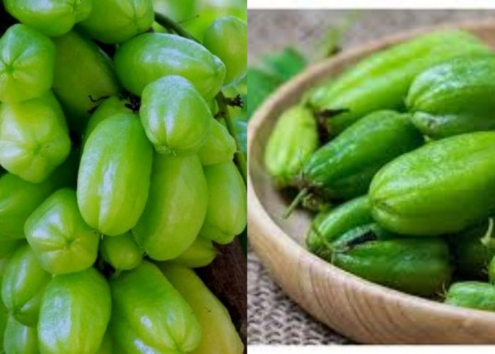 Tak Hanya untuk Masakan, Ini Manfaat Belimbing Wuluh bagi Kesehatan Tubuh!