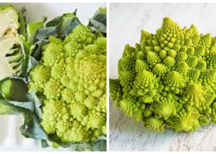 7 Manfaat Romanesco, Brokoli Sehat dengan Bunga Mirip Piramida