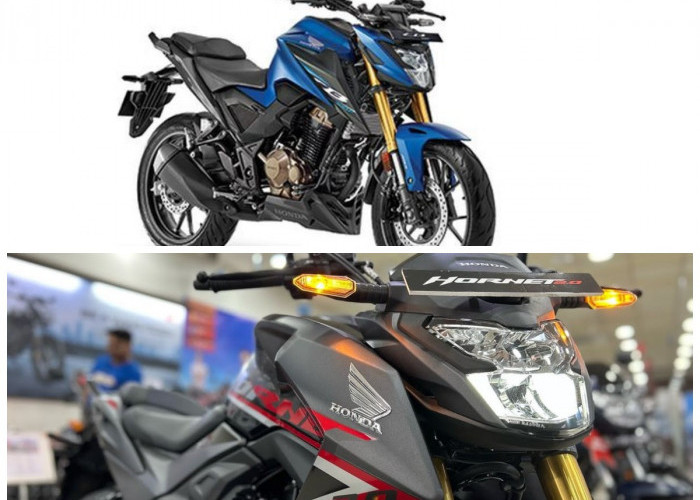 Simak Harga dan Spesifikasi Lengkap Motor Tiger Reborn 2024 Terbaru!