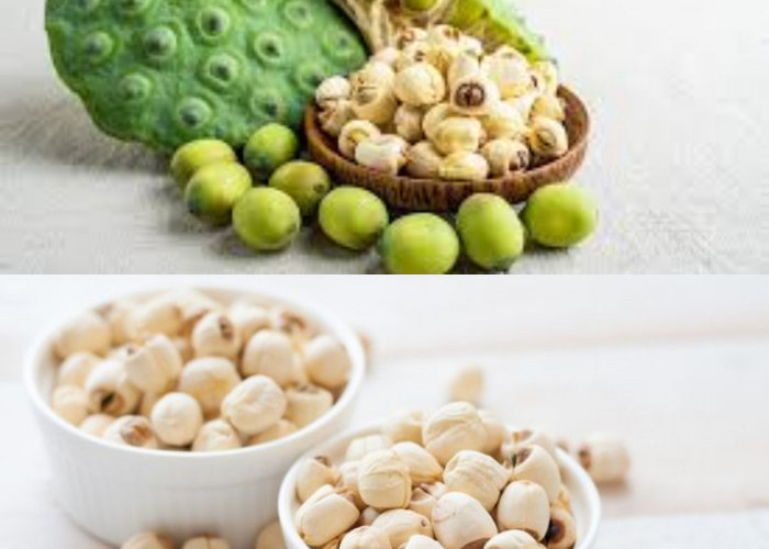 Biji teratai bisa dimakan dan memiliki 7 manfaat kesehatan yang baik!