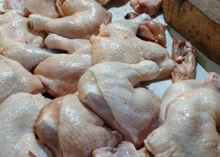 Fluktuasi Harga Komoditas Pangan di Pagaralam, Harga Cabai Tinggi, Ayam Potong Stabil