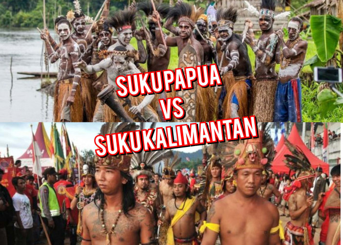 Suku Papua VS Suku Kalimantan, Berikut Daftar Yang Paling Menarik Dalam Perbedaan 2 Suku Ini! 
