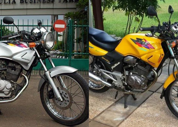 Kelebihan dan Kekurangan Honda Tiger, Motor Legendaris yang Pernah Jadi Idaman!