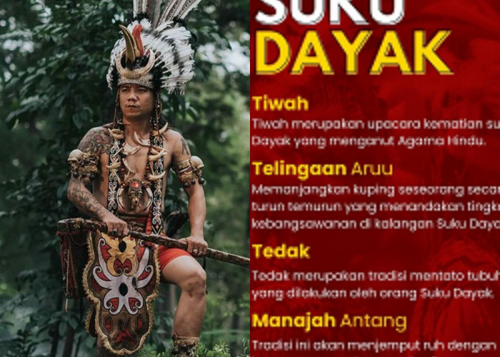 Mau Tahu Rahasia Keindahan Tradisi Suku Dayak?! Jangan Lewatkan!