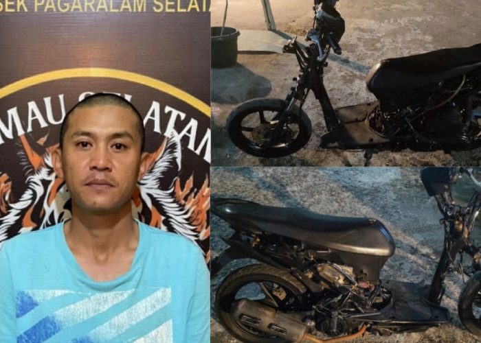 Tim Rimau Selatan Ringkus Pelaku Penggelapan Motor