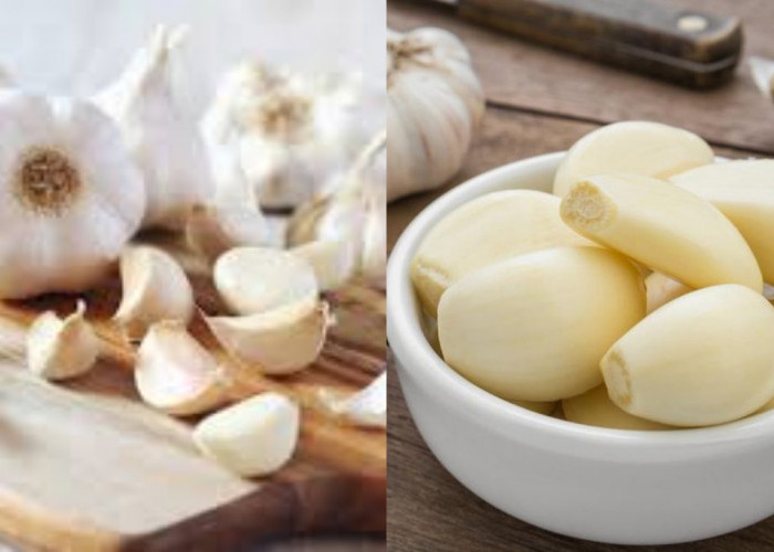 Manfaat Bawang Putih bagi Pria: Rahasia Alami untuk Meningkatkan Kesuburan!