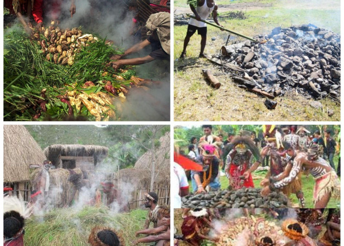 Tradisi Unik Suku Dani, Membakar Batu Budaya Dari Nenek Moyang terdahulu!