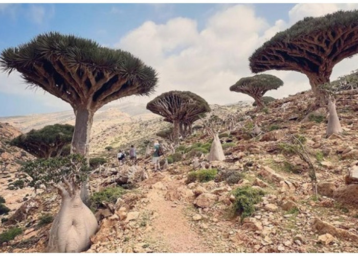 Mengungkap Misteri Pulau Socotra! Banyak Dipercaya Adanya Keberadaan Dajjal Disini! 