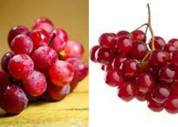  Jangan Lewatkan! Inilah Manfaat Angur Merah Untuk Kesehatan Yang Luar Biasa