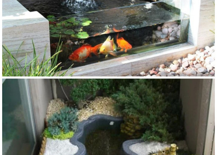 Rahasia Membuat Kolam Ikan Mini di Lahan 1 Meter, Tetap Mewah tapi Low-Budget