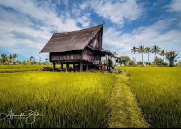 Jejak Budaya Tionghoa di Suku Sumatera Selatan: Mengungkap Warisan Sejarah yang Menarik dan Kaya 
