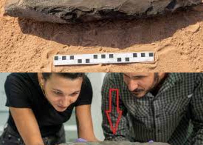 Arkeolog Berhasil Temukan Kapak Tangan Purba di Utara Arab Saudi Berusia 200 Ribu Tahun 