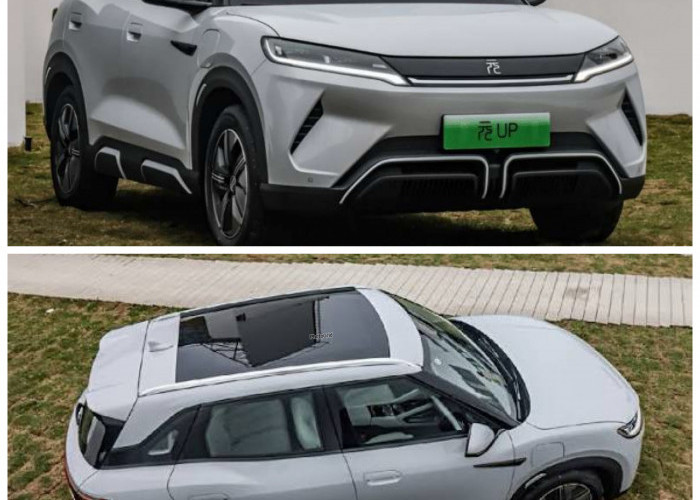 BYD Siapkan Mobil Listrik Murah Baru, Desain Modern dan Harga Diprediksi Lebih Ramah!