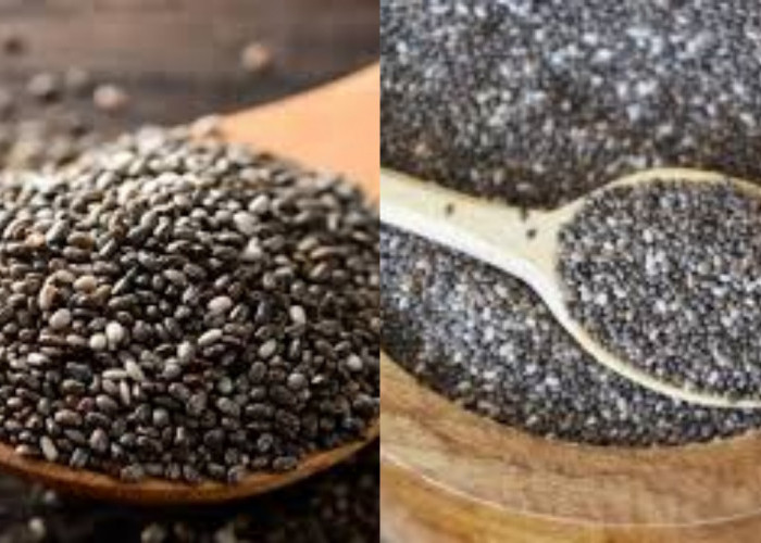 Inilah 8 Manfaat Biji Selasih untuk Kesehatan yang Jarang Diketahui