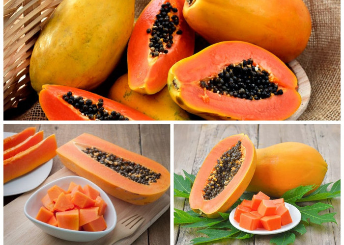 Manfaat Buah Pepaya bagi Kesehatan Tubuh: Sumber Nutrisi Alami yang Kaya Khasiat!