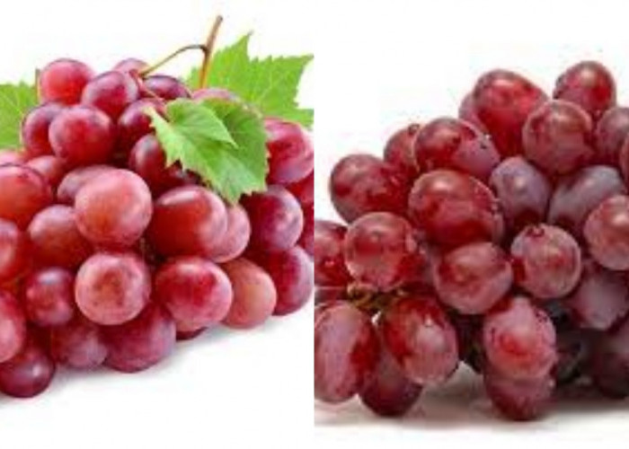 Kamu Harus Tahu! Ini 7 Manfaat Buah Anggur Merah Untuk Kesehatan Tubuh