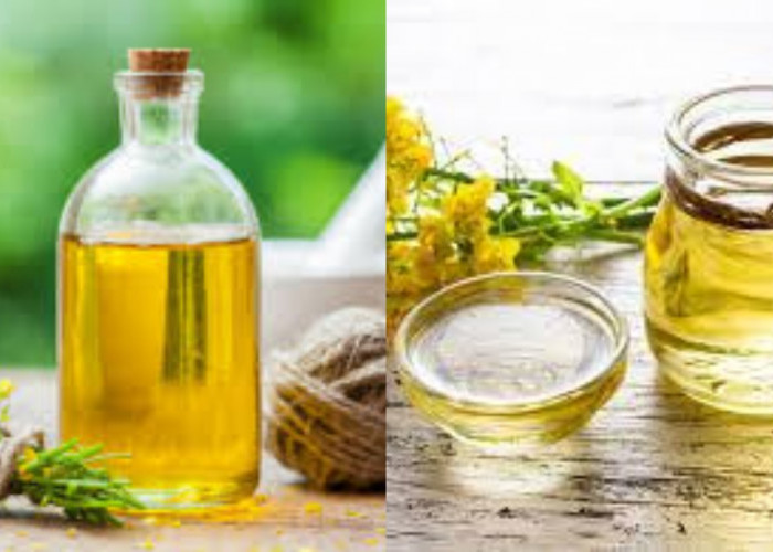 Jarang Diketahui Inilah Manfaat Minyak Kanola Untuk Kesehatan Yang Luar Biasa!