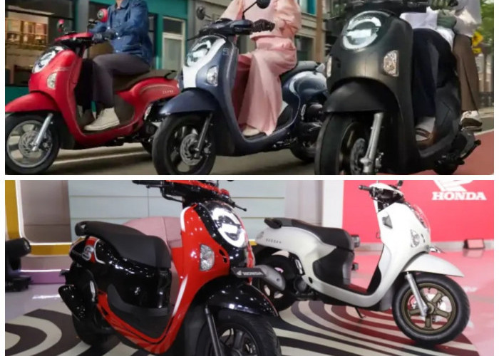 Honda Scoopy Terbaru Hadir Lebih Modern, Fitur Canggih dan Desainnya Makin Memikat