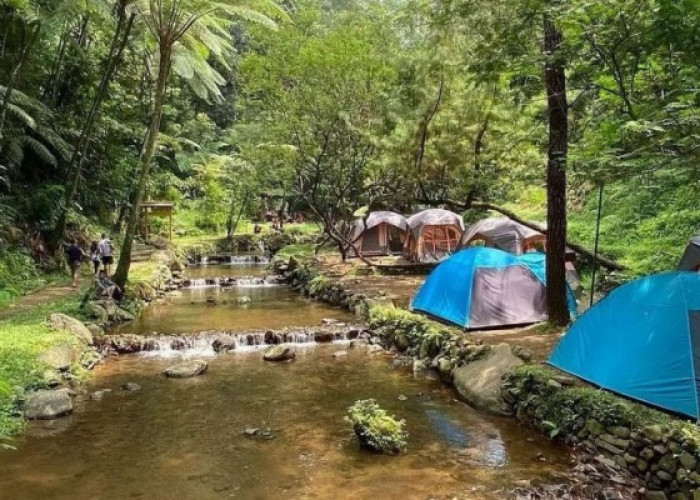 Camping di Alam Terbuka, Bogor Punya Tempat Kemah Aman Cocok Tuk Refreshing