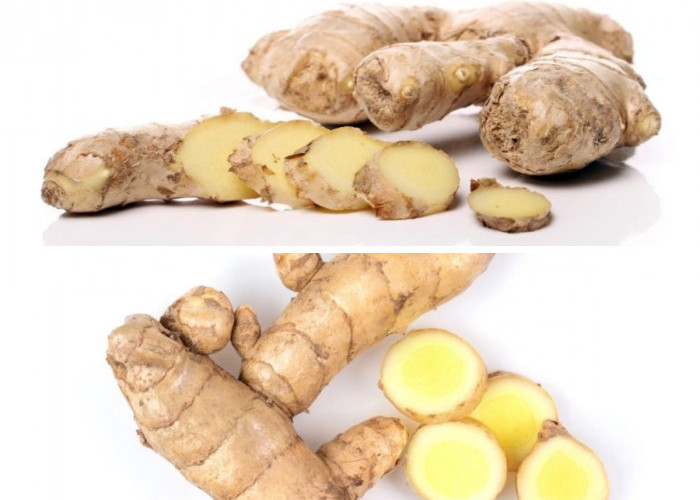 Mengenal Manfaat Kunyit Putih untuk Kesehatan Tubuh: Obat Alami dari Dapur!