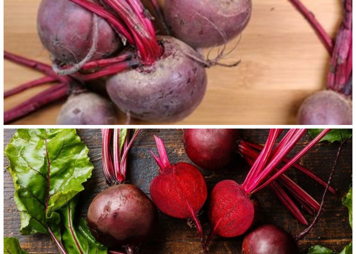  Rahasia Buah Bit: Cara Alami Menjaga Kesehatan Darah dan Tubuh