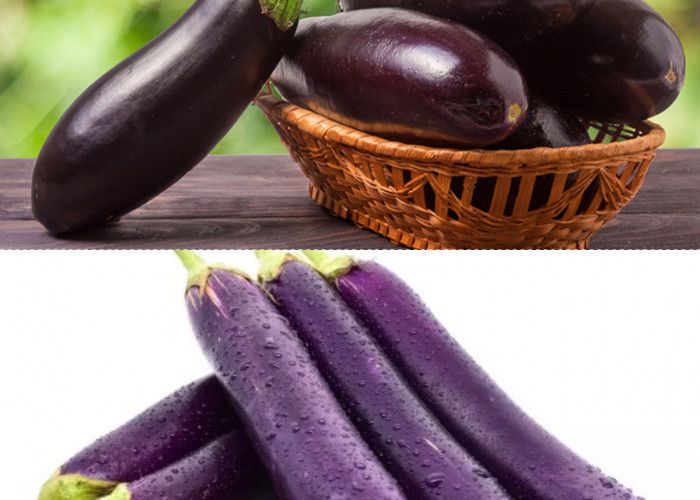 6 Kebaikan Terong untuk Kesehatan dan Cara Ideal Untuk Mengolahnya!