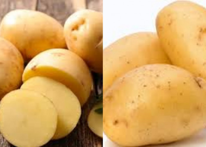 7 manfaat kandungan kentang untuk kesehatan Nutrisi Luar Biasa!