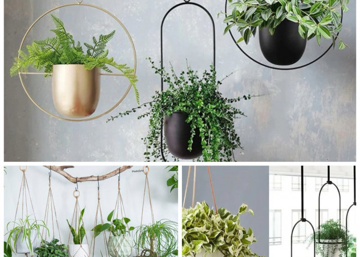 5 Cara Cerdas Menata Tanaman Bunga Kecil di Rumah Biar Makin Cantik dan Instagramable!